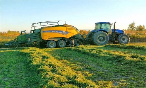 Landwirtschaftliche Industrie