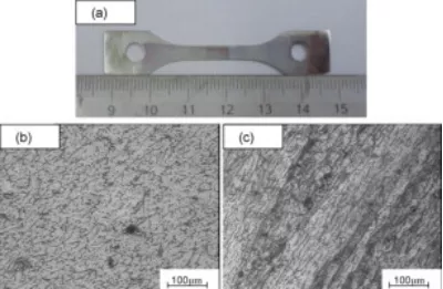 Microstructure of aluminum 5083 weldments