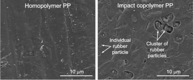 Homopolymer Polypropylene vs Copolymer Polypropylene