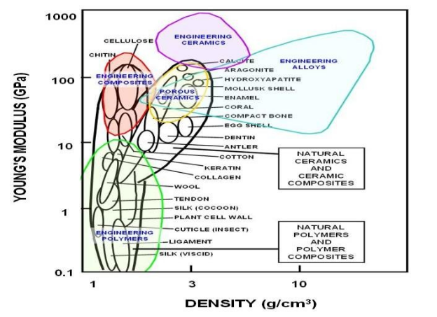 Varied materials concerning Young's modulus and density