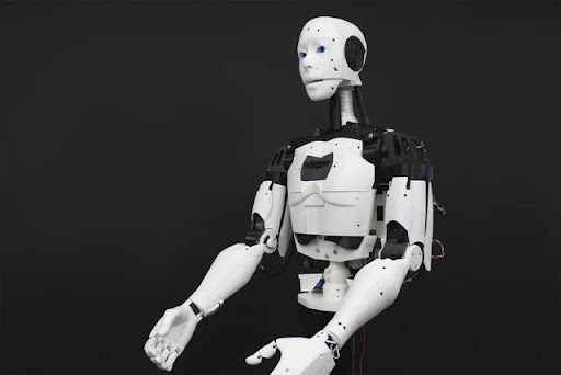 Humanoid robots examples