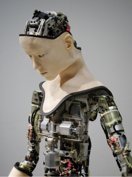 Neodymium Magnets in humanoid robot parts
