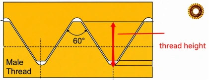 Thread Height